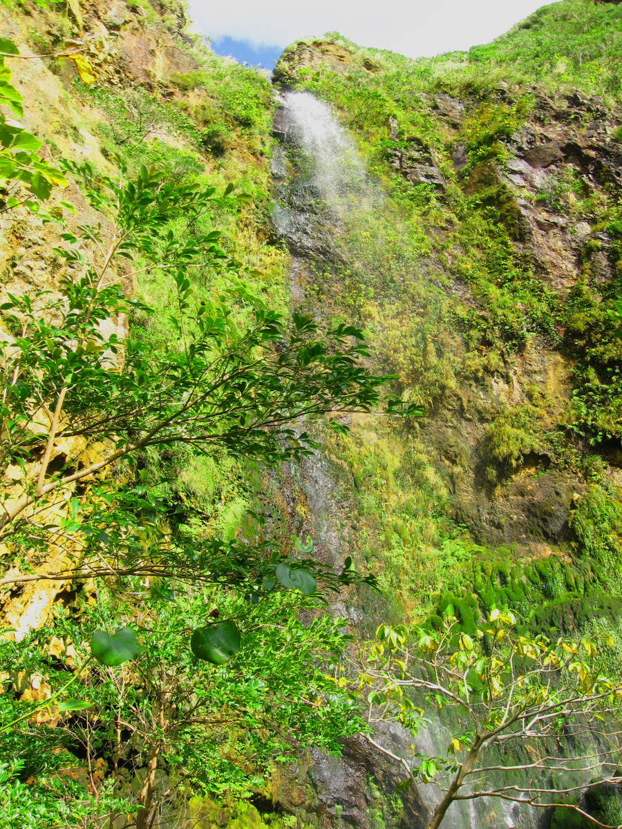 f:id:onsen_tabi1:20190520234310j:plain f:id:onsen_tabi1:20190520234310j:plain