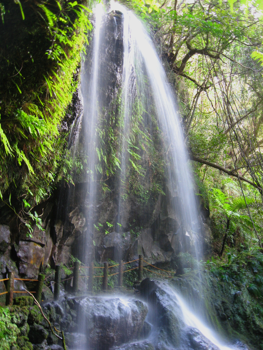f:id:onsen_tabi1:20190520234518j:plain f:id:onsen_tabi1:20190520234518j:plain