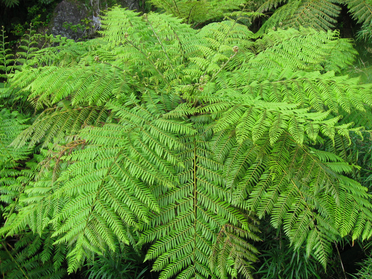 f:id:onsen_tabi1:20190524220723j:plain