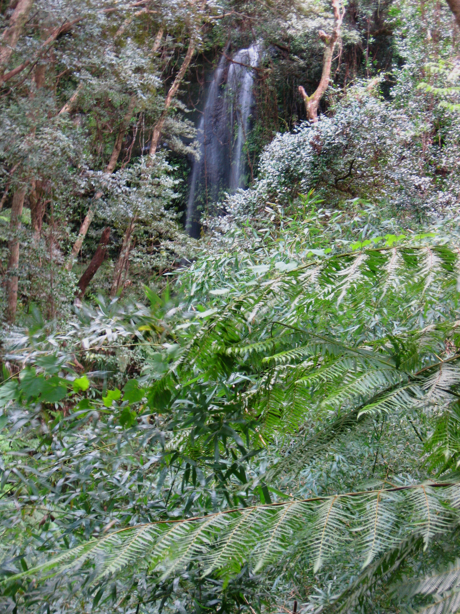 f:id:onsen_tabi1:20190524224807j:plain