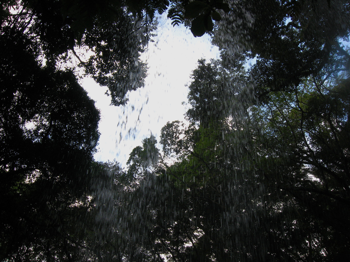 f:id:onsen_tabi1:20190524225206j:plain