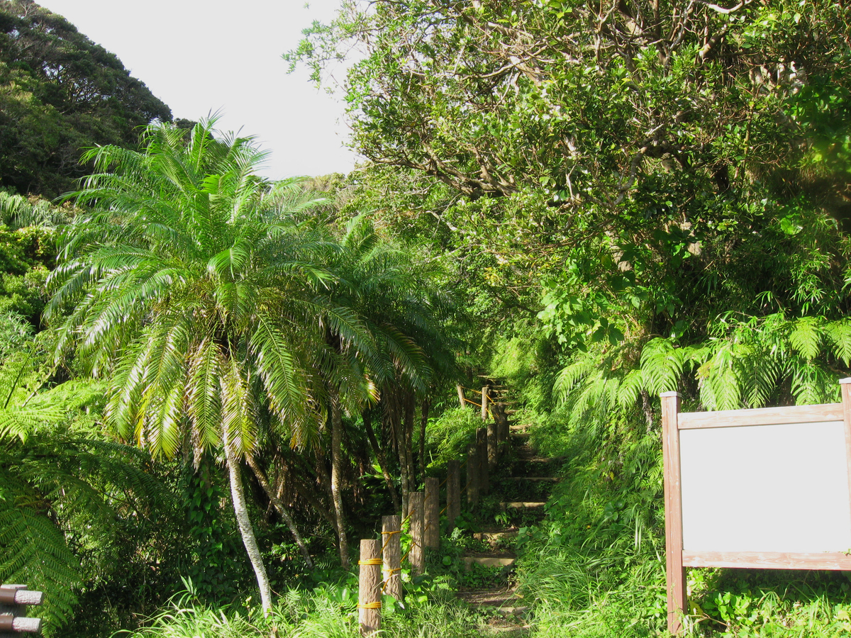 f:id:onsen_tabi1:20190524234106j:plain