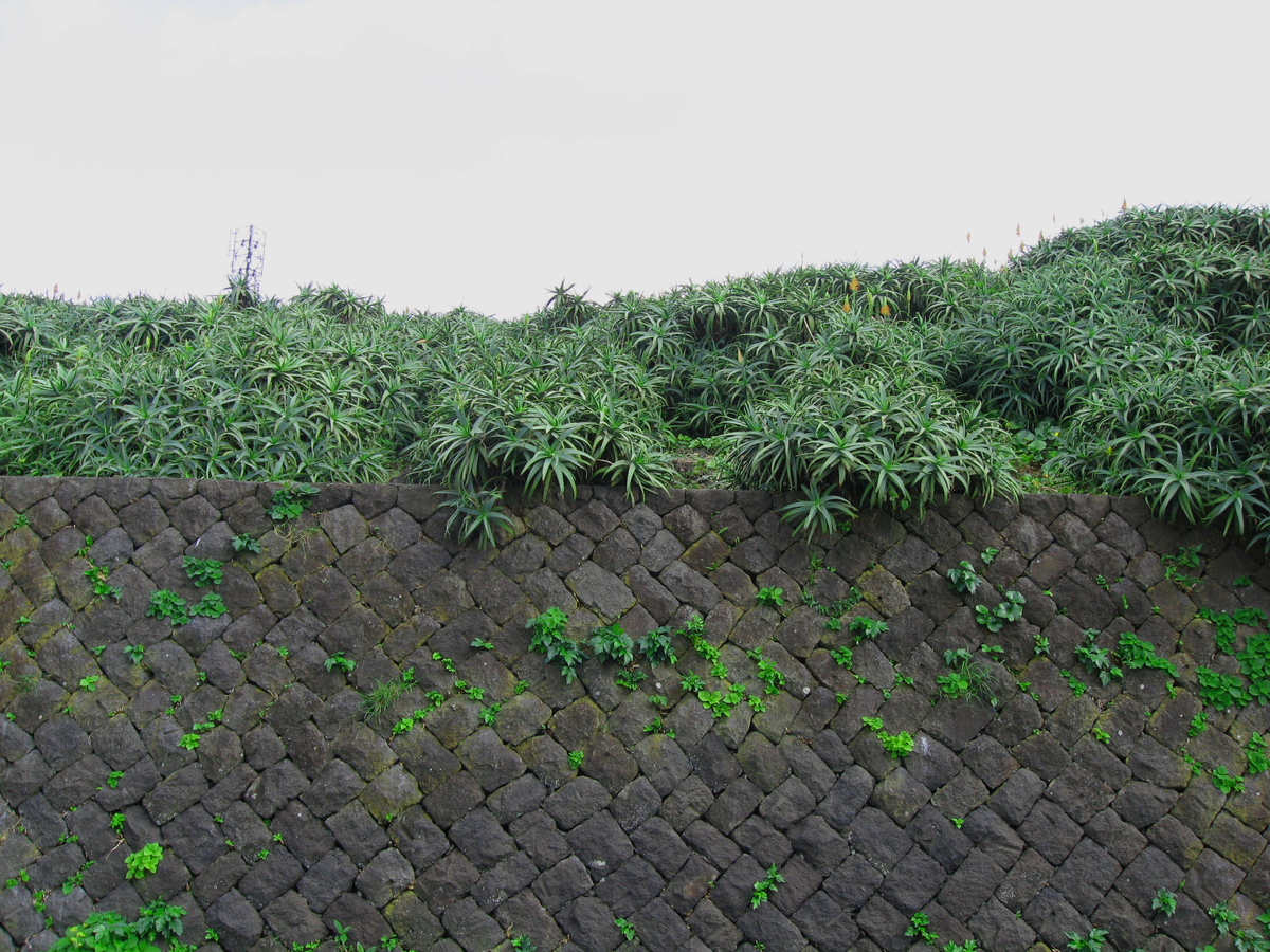 f:id:onsen_tabi1:20190608194335j:plain f:id:onsen_tabi1:20190608194335j:plain