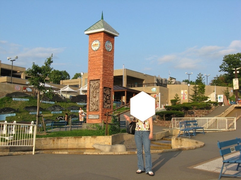 イメージ 7