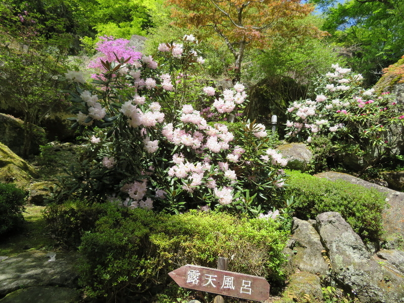 イメージ 21