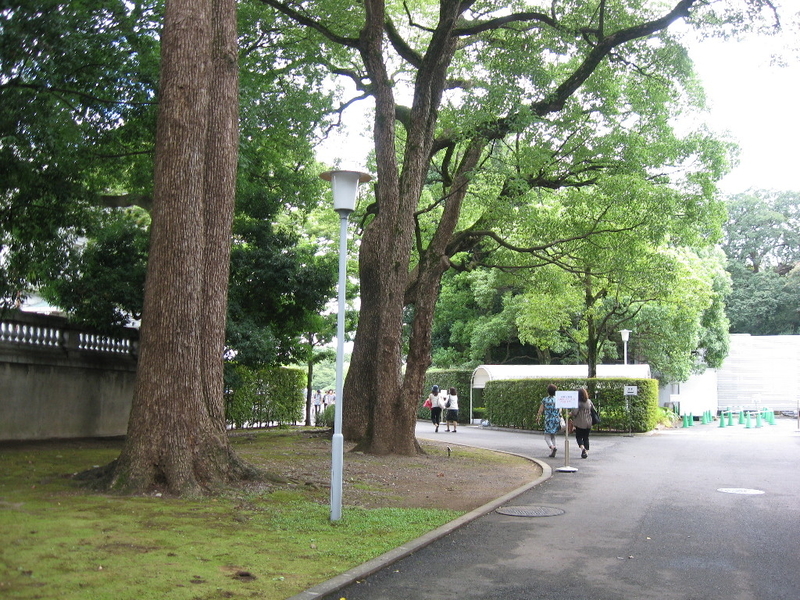 イメージ 5