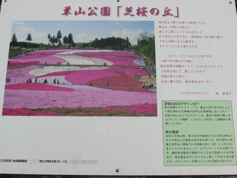 イメージ 9