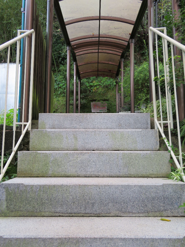 イメージ 31