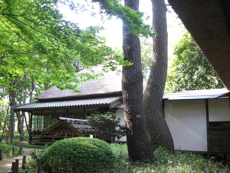 イメージ 15