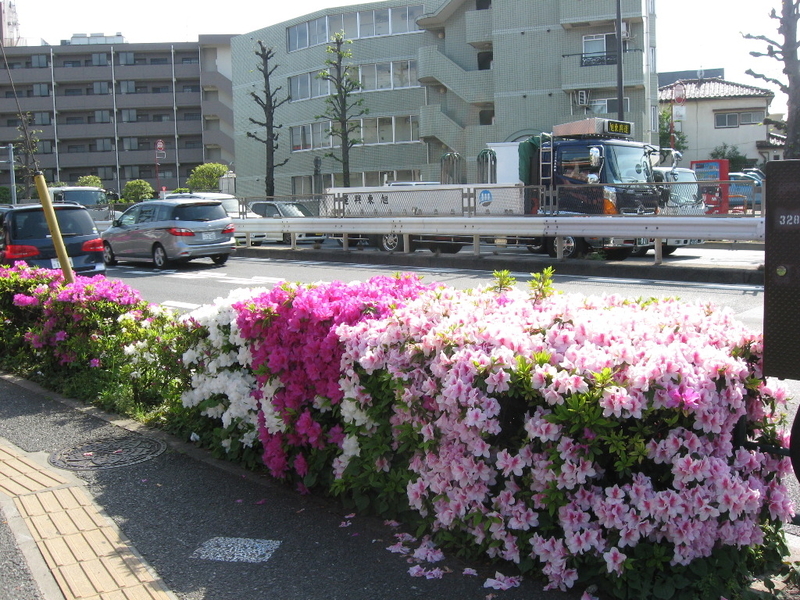 イメージ 1