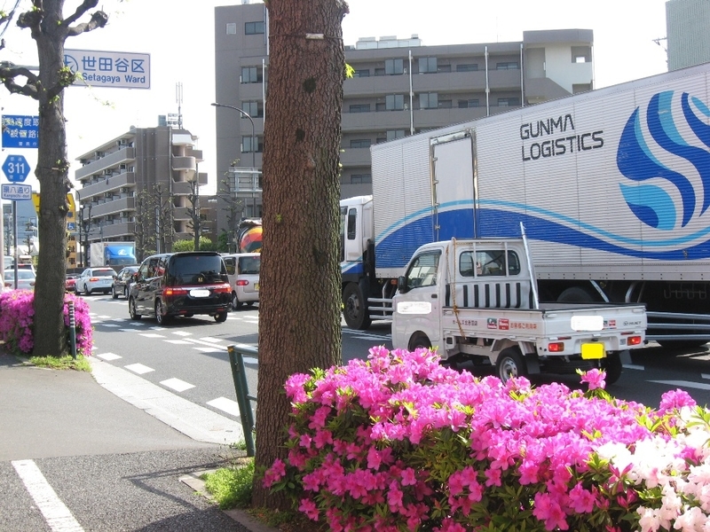 イメージ 3