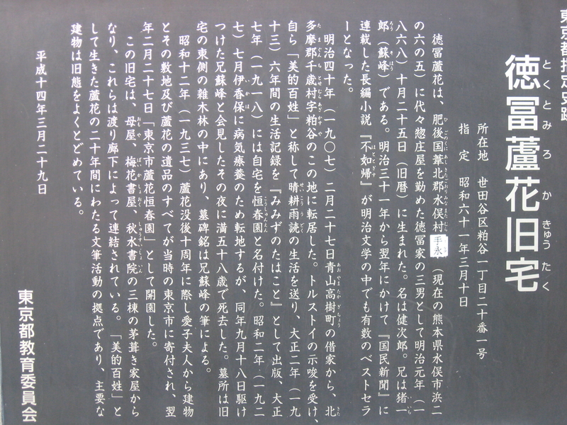 イメージ 7