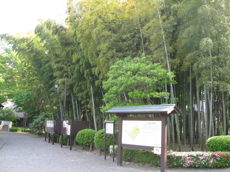 イメージ 8