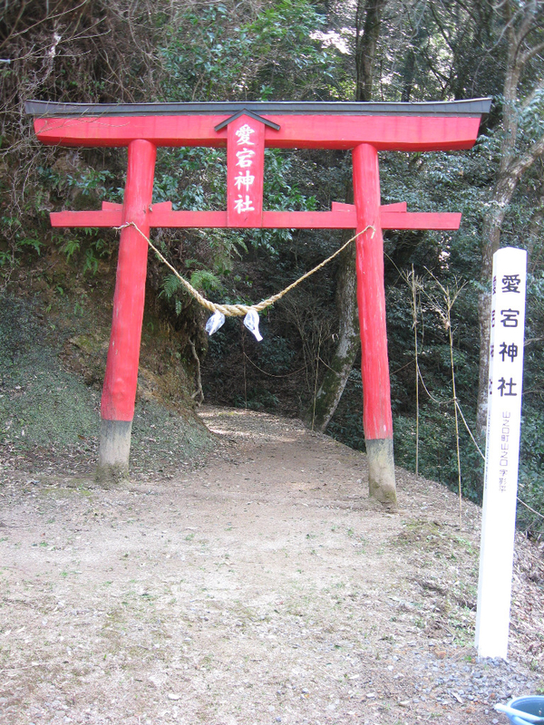 イメージ 17
