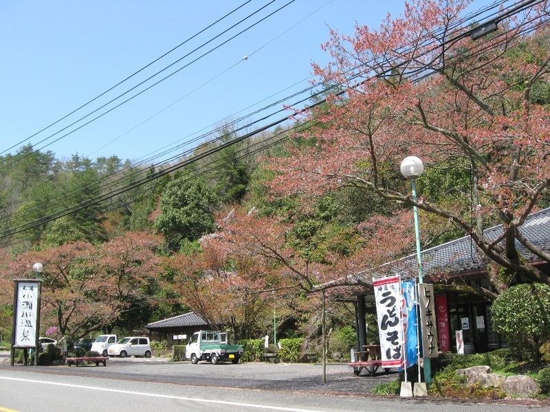イメージ 1
