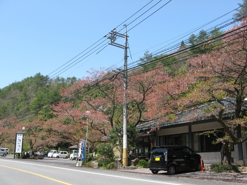 イメージ 16