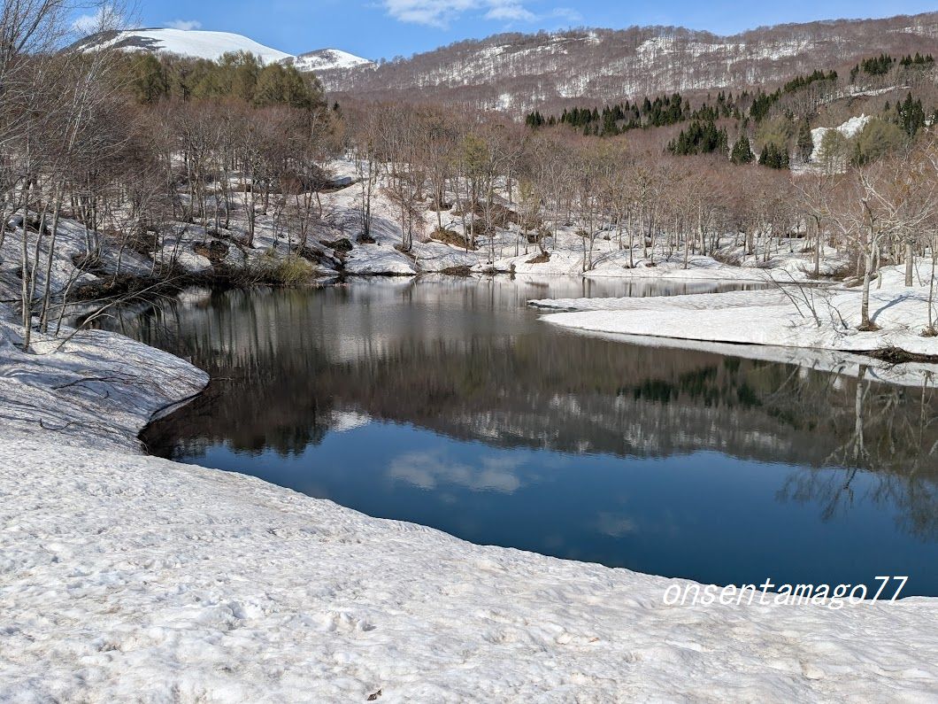 ZNE 血染めのぬかるみ　樹木茂る山麓　乾燥台地　沸騰する小湖　ボーダーレス mqdefault.jpg