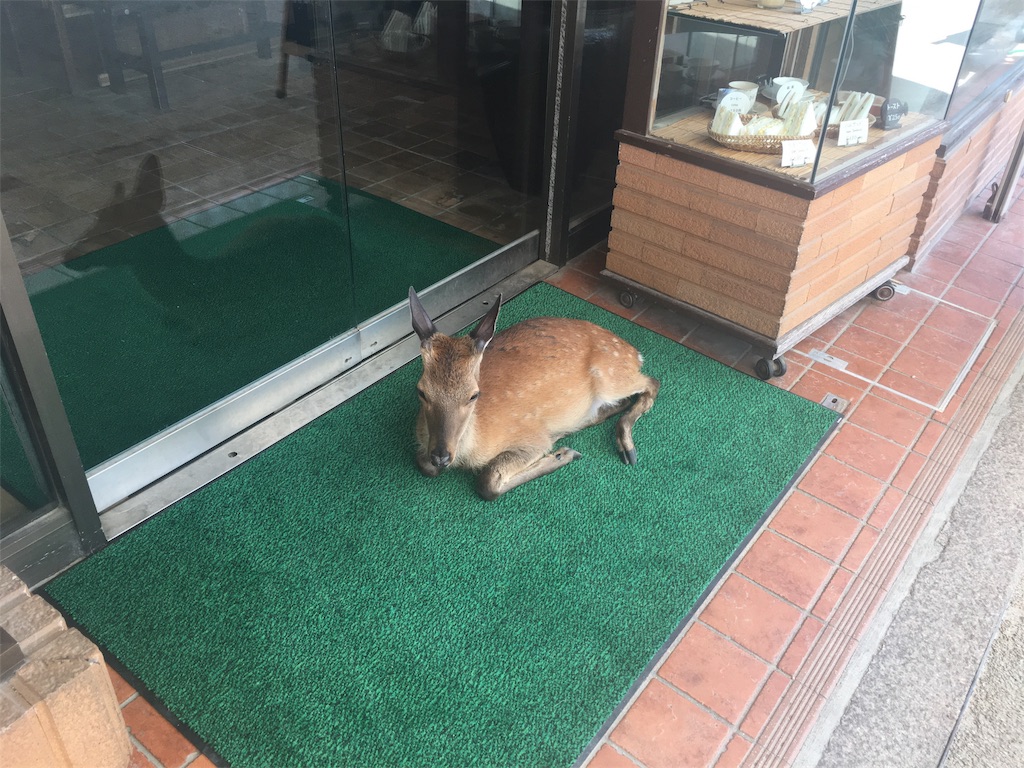 f:id:onsoku-nekopanchi:20180717231943j:image f:id:onsoku-nekopanchi:20180717231943j:image