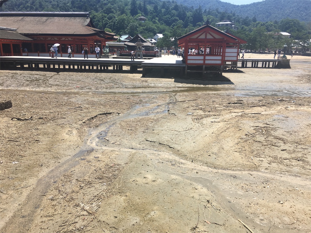 f:id:onsoku-nekopanchi:20180717232125j:image f:id:onsoku-nekopanchi:20180717232125j:image