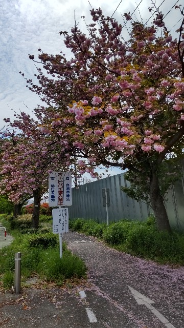 f:id:ontheroad2014:20220424200924j:image f:id:ontheroad2014:20220424200924j:image
