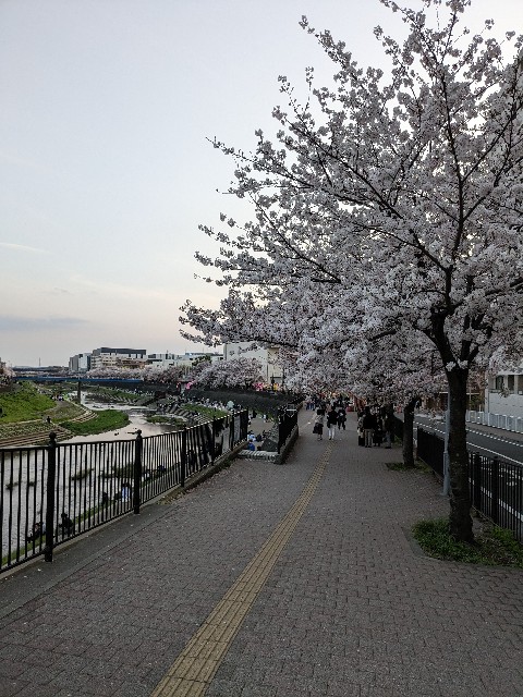 f:id:ontheroad2014:20230404202341j:image f:id:ontheroad2014:20230404202341j:image