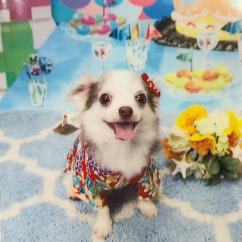 f:id:onthevillage:20191221213516j:plain f:id:onthevillage:20191221213516j:plain