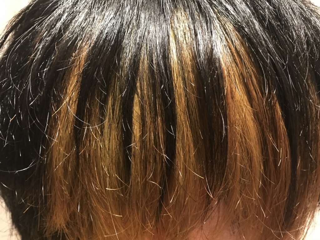 髪を傷めずに染める クイスクイス デビルズトリック を使ってみた Room45