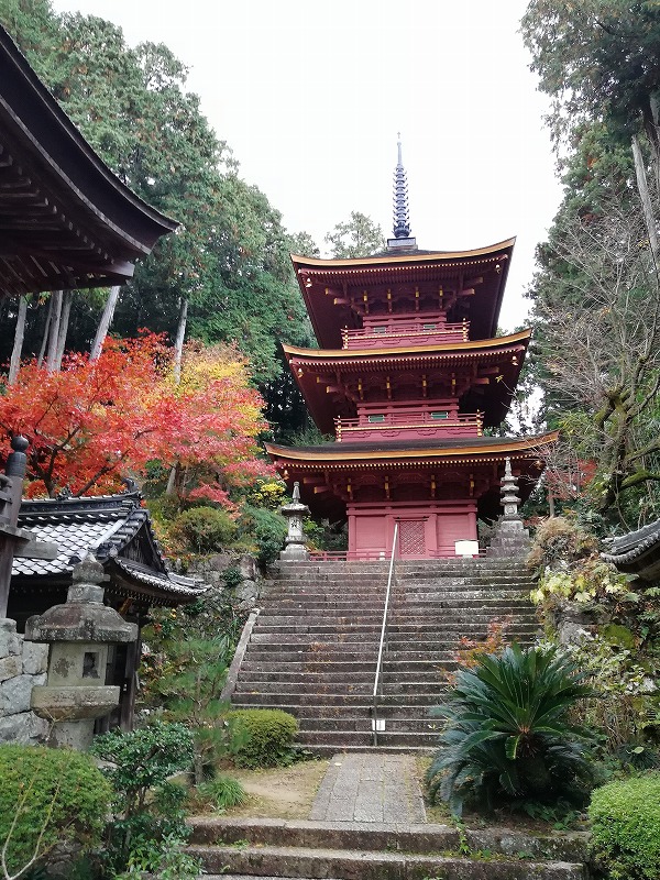 f:id:onwatokukou:20211231103245j:plain