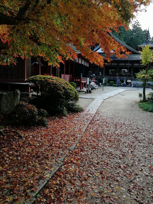 f:id:onwatokukou:20211231103319j:plain