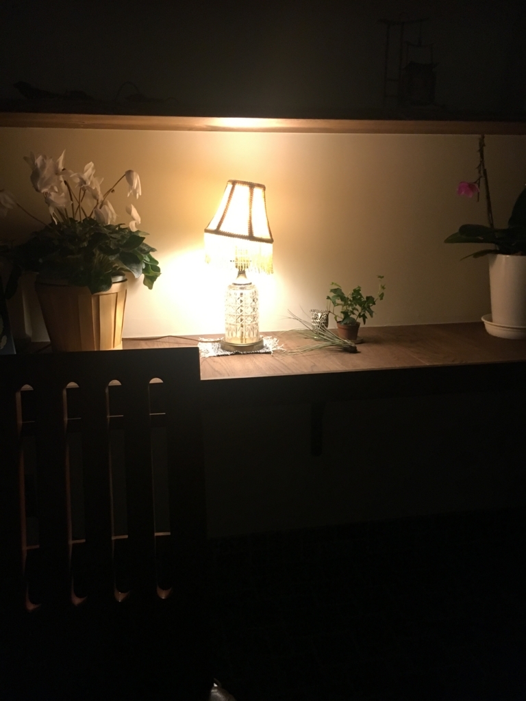 f:id:onyourlamp:20180327034445j:plain
