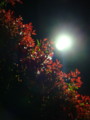 20100505200740