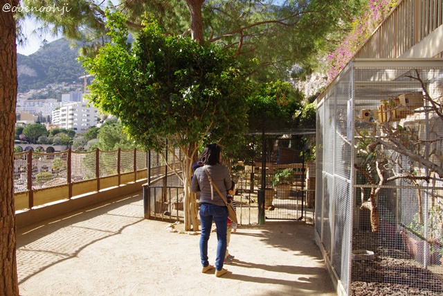 f:id:ooenoohji:20170807083312j:plain f:id:ooenoohji:20170807083312j:plain