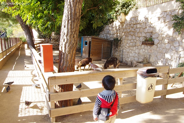 f:id:ooenoohji:20170807083335j:plain f:id:ooenoohji:20170807083335j:plain