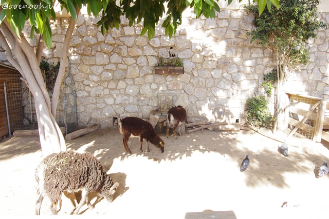 f:id:ooenoohji:20170807083359j:plain f:id:ooenoohji:20170807083359j:plain