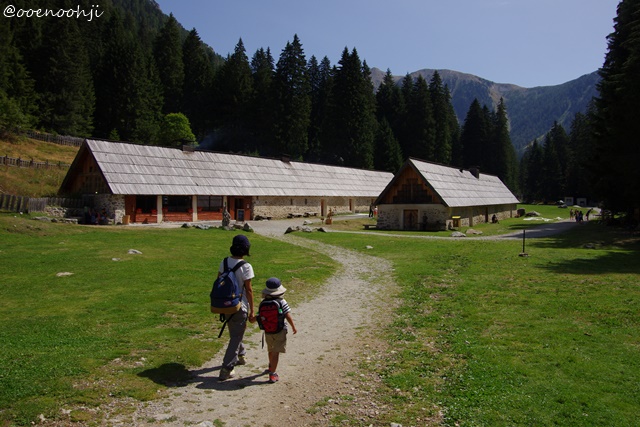 f:id:ooenoohji:20170828050122j:plain alpha-animal-park