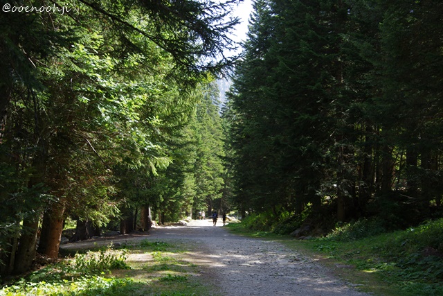 f:id:ooenoohji:20170828050234j:plain alpha-animal-park