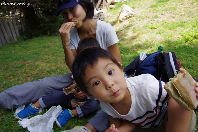 f:id:ooenoohji:20170828051455j:plain alpha-animal-park