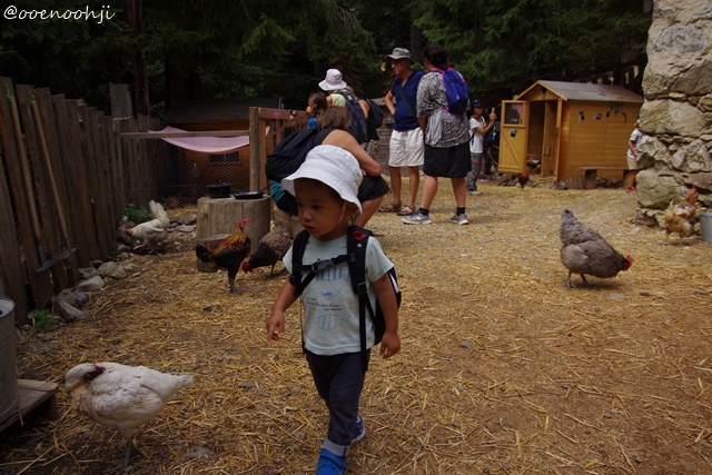 f:id:ooenoohji:20170828051530j:plain coq-alpha-animal-park