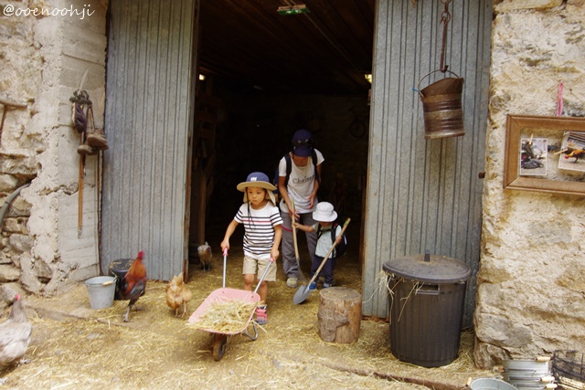 f:id:ooenoohji:20170828051552j:plain coq-alpha-animal-park