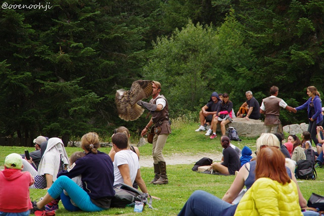 f:id:ooenoohji:20170828051658j:plain bard-alpha-animal-park