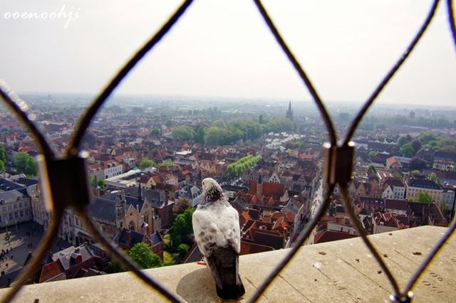 belgium bruges markt tower