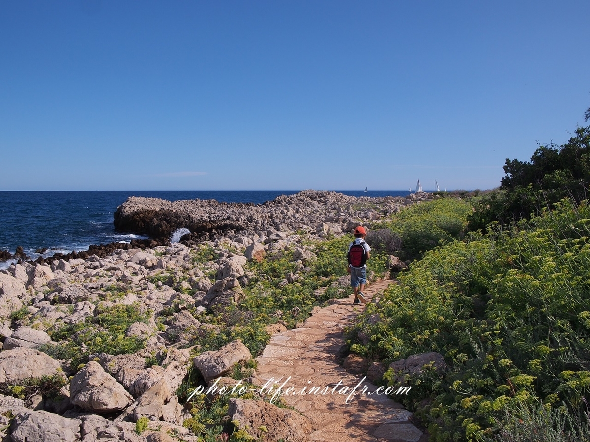 海ハイキングをLeica DG 15mm f1.7 + E-M5で撮影