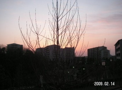 f:id:oogatasen:20090214172810j:image f:id:oogatasen:20090214172810j:image