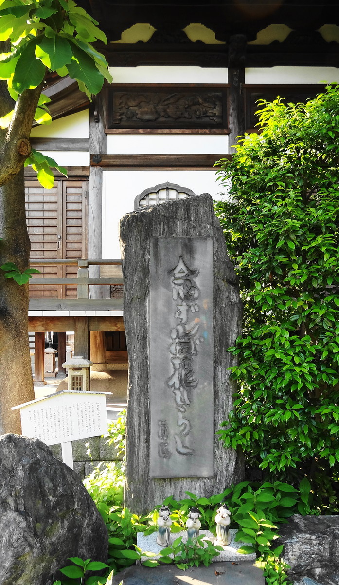 f:id:oogatasen:20190511163435j:plain f:id:oogatasen:20190511163435j:plain