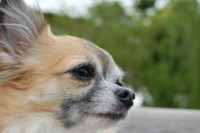 f:id:oogley:20070426143348j:image f:id:oogley:20070426143348j:image