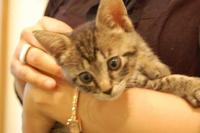 f:id:oogley:20070905153447j:image