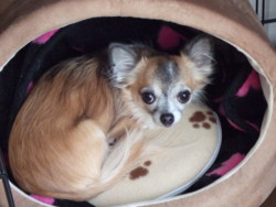 f:id:oogley:20081127093016j:image