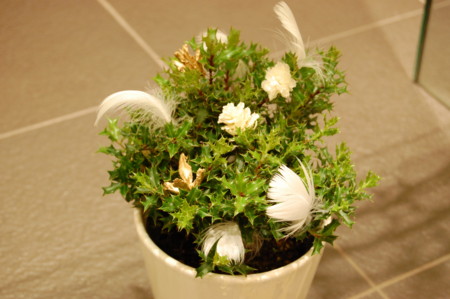 f:id:oogley:20081201174827j:image