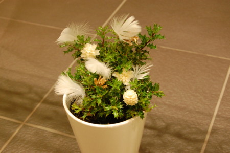 f:id:oogley:20081201174834j:image