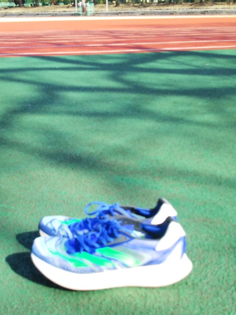 f:id:ooguins:20220125155307j:image f:id:ooguins:20220125155307j:image